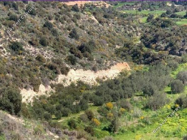 land for sale alaminos larnaca 1819123 image 15597774