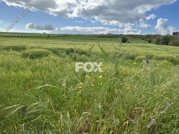 land for sale anarita paphos 1270123 image 5550285