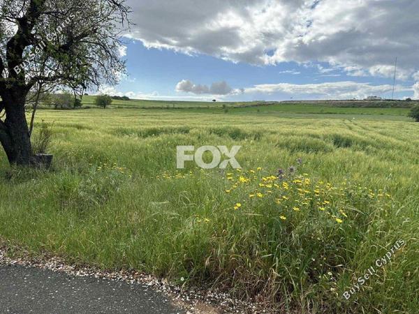 land for sale anarita paphos 1270123 image 5550287