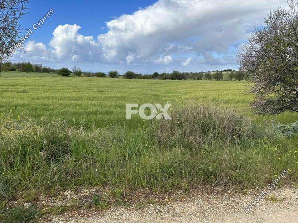 land for sale anarita paphos 1270123 image 5550293