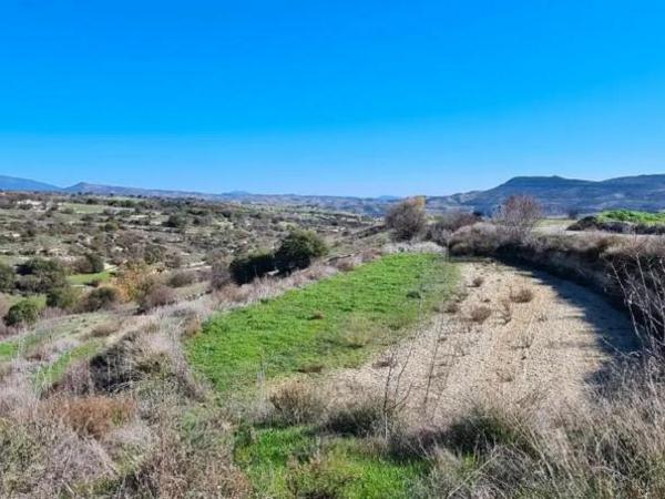 plot for sale dora limassol 1846123 image 6638957