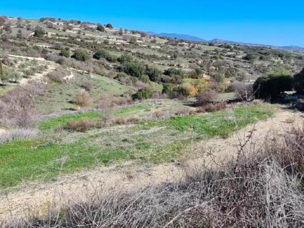 plot for sale dora limassol 1846123 image 6638967