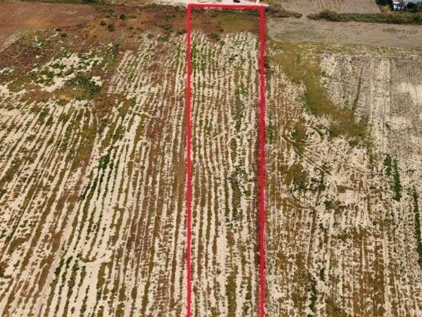 plot for sale livadia larnacas larnaca 8708123 image 16265395