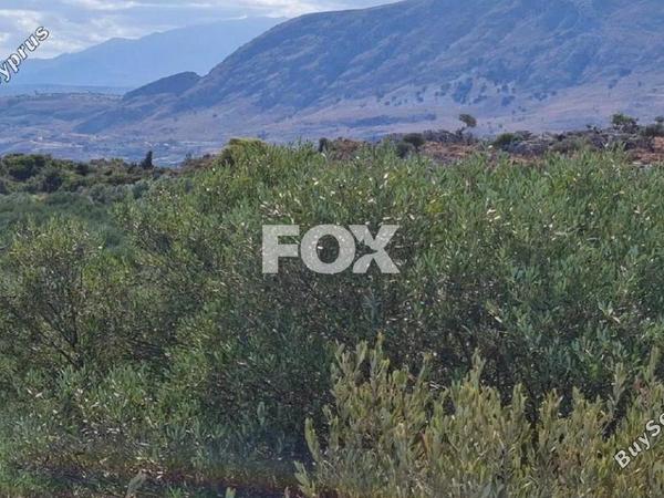 land for sale akrotiri limassol 1147223 image 5491646