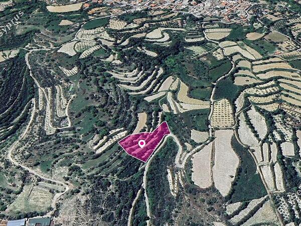 land for sale koili paphos 1342223 image 2492215