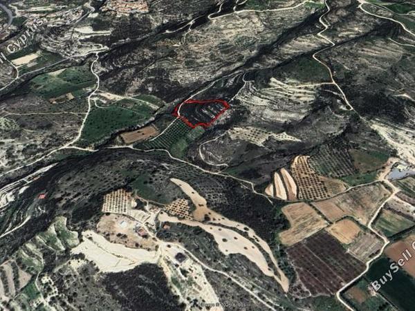 land for sale mesogi paphos 8437223 image 15019590