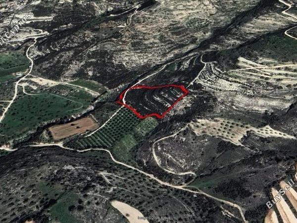 land for sale mesogi paphos 8437223 image 15019592