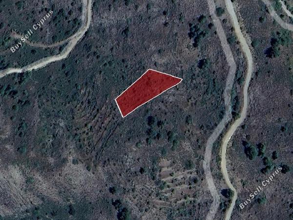 land for sale platanistasa nicosia 1785223 image 15597789