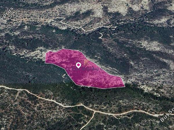 land for sale platanisteia limassol 1650223 image 5666936
