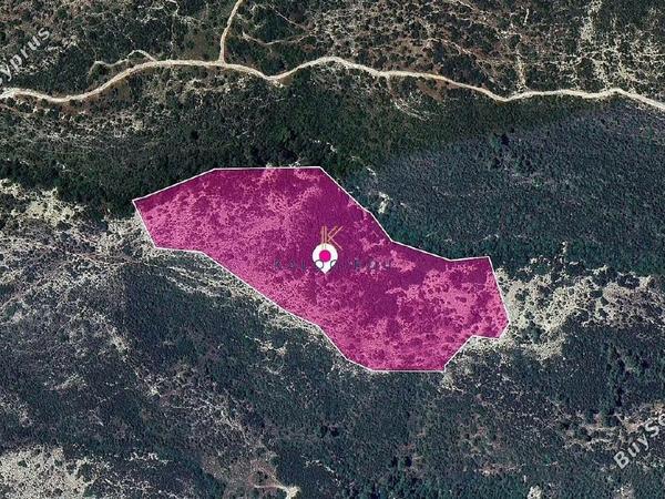 land for sale platanisteia limassol 1650223 image 5666939