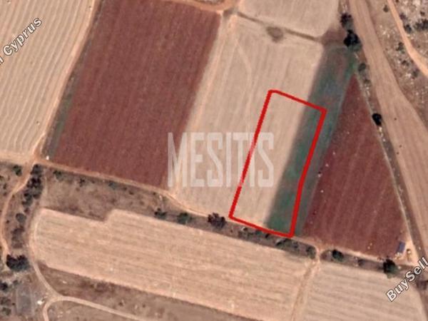 plot for sale liopetri famagusta 1822223 image 12889348