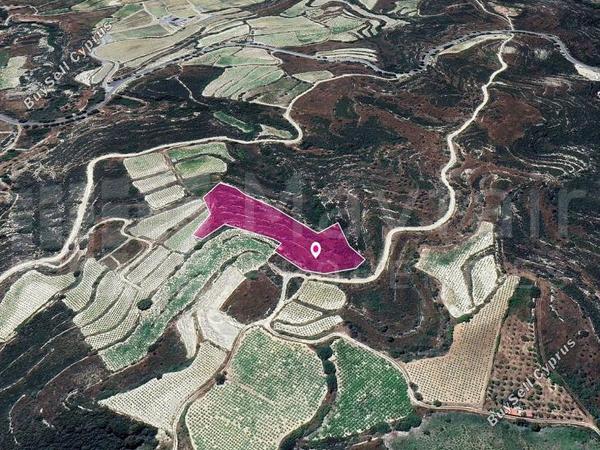 land for sale koilani limassol 7872323 image 14116166