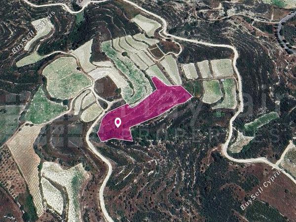 land for sale koilani limassol 7872323 image 14116171