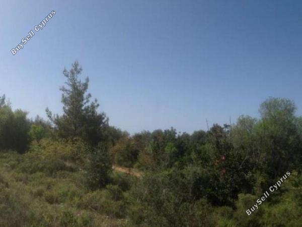 land for sale lysos paphos 1355323 image 5629816