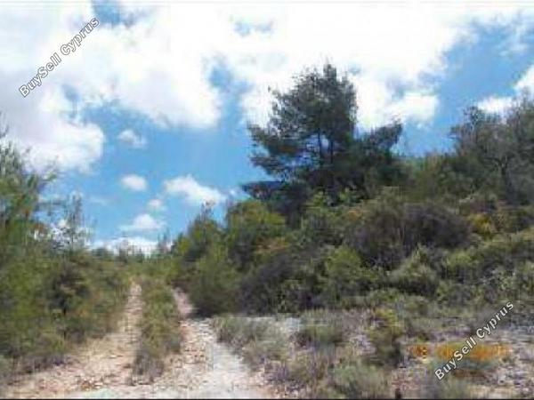 land for sale lysos paphos 1355323 image 5629819