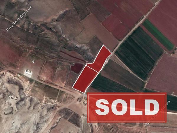 land sold orounta nicosia 7980323 image 11622574