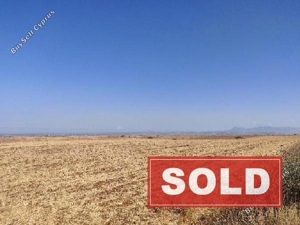 land sold orounta nicosia 7980323 image 11622582
