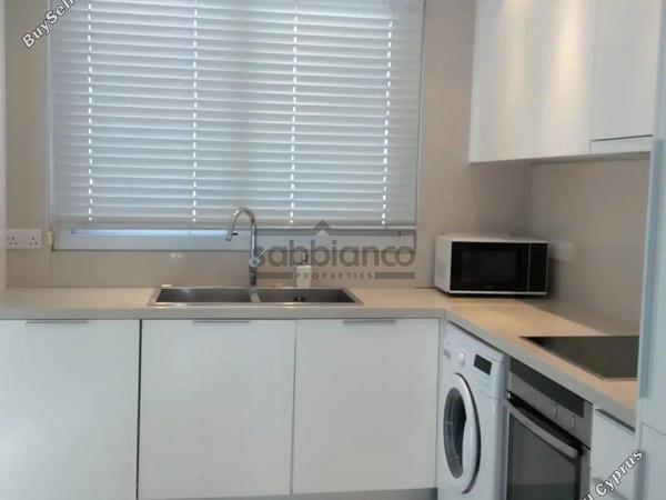2 bedroom apartment for rent agios dometios nicosia 8749423 image 16475660