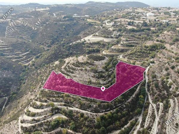 land for sale koili paphos 8434423 image 15010761