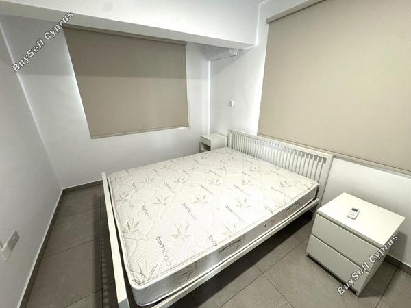 2 bedroom apartment for rent mackenzie larnaca 8785523 image 16654058