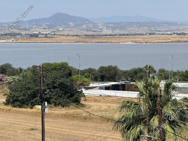 2 bedroom apartment for rent mackenzie larnaca 8785523 image 16654061