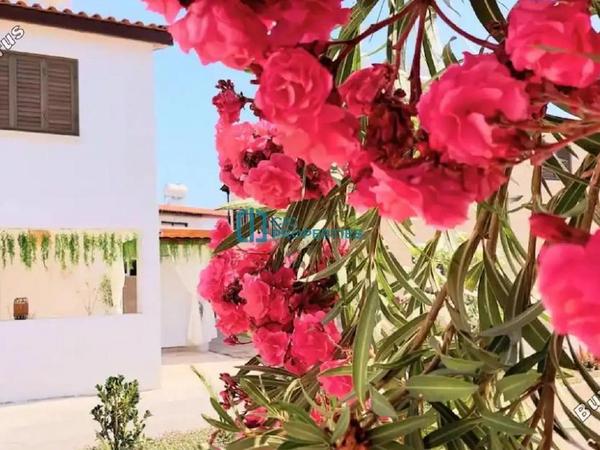 2 bedroom semi detached house for rent pervolia larnaca 8495523 image 15648947
