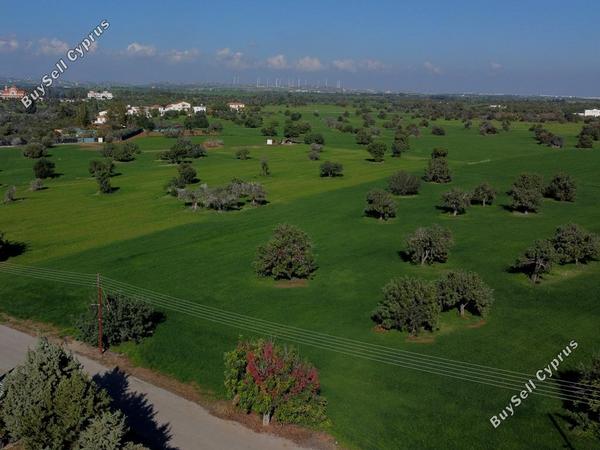 land for sale mazotos larnaca 826523 image 15601199