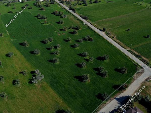 land for sale mazotos larnaca 826523 image 15601201