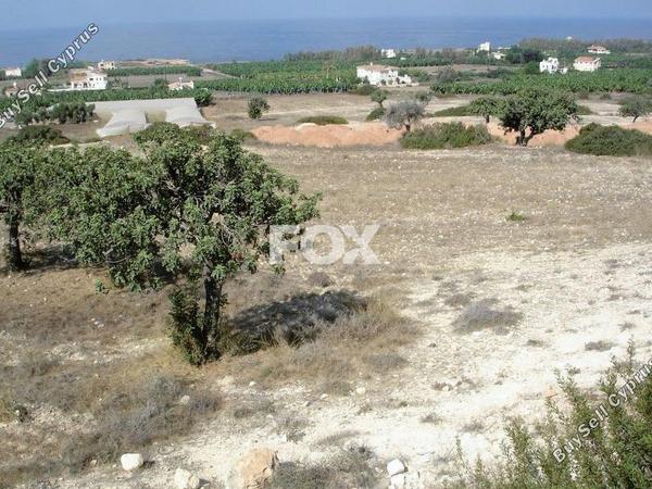 land for sale peyia paphos 1464523 image 10036743