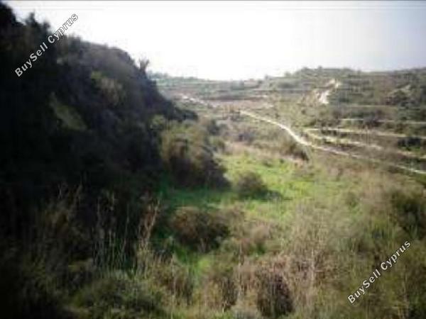 land for sale tsada paphos 927523 image 15599440