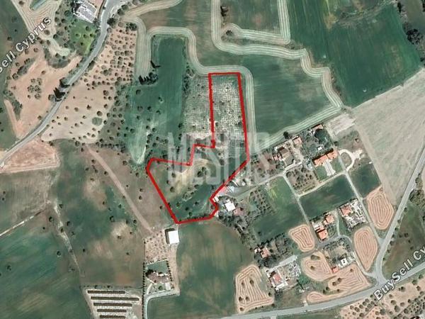 plot for sale mazotos larnaca 1824523 image 12887923