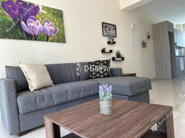 3 bedroom detached house for sale tombs of the kings paphos 7812623 image 10641294