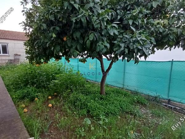 4 bedroom bungalow for sale mosfiloti larnaca 8417623 image 16560888