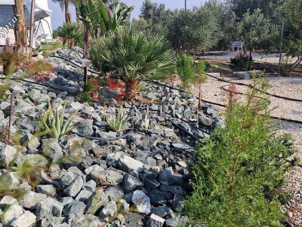5 bedroom detached house for sale kato deftera nicosia 1011623 image 16723548