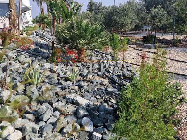 5 bedroom detached house for sale kato deftera nicosia 1011623 image 5198221