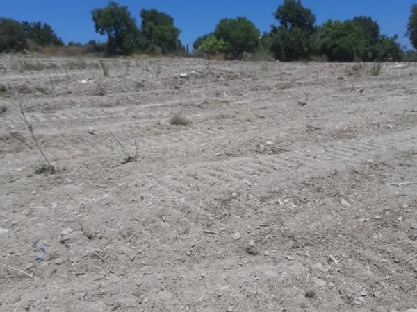 land for sale agios dimitrianos paphos 8529623 image 15456282