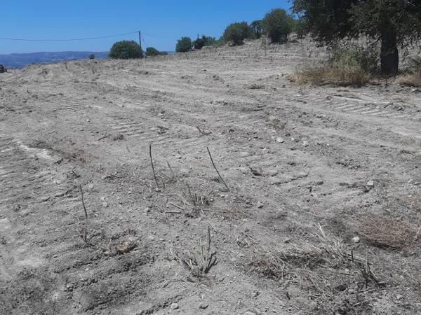 land for sale agios dimitrianos paphos 8529623 image 15456284