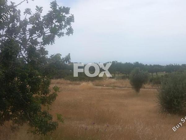 land for sale kouklia pafou paphos 7703623 image 13761477