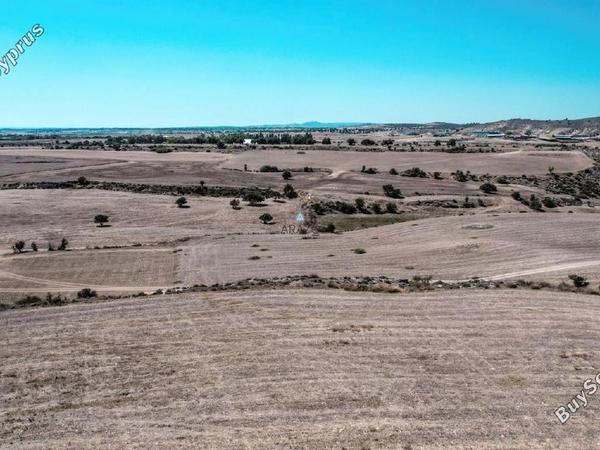 land for sale tersefanou larnaca 1554723 image 5657646