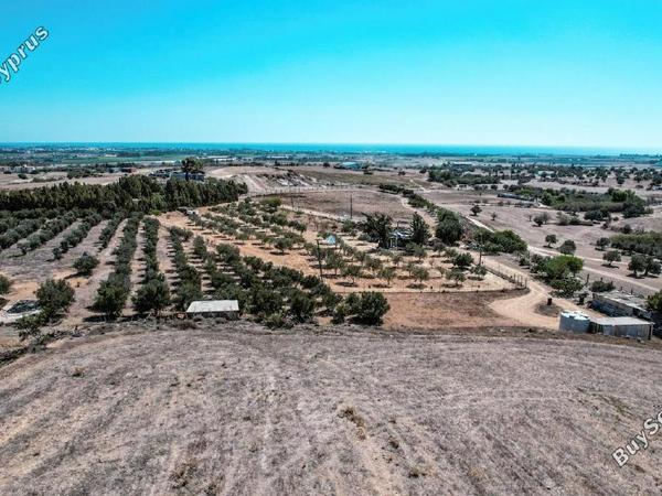 land for sale tersefanou larnaca 1554723 image 5657651