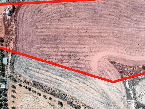 land for sale tersefanou larnaca 1554723 image 5657654
