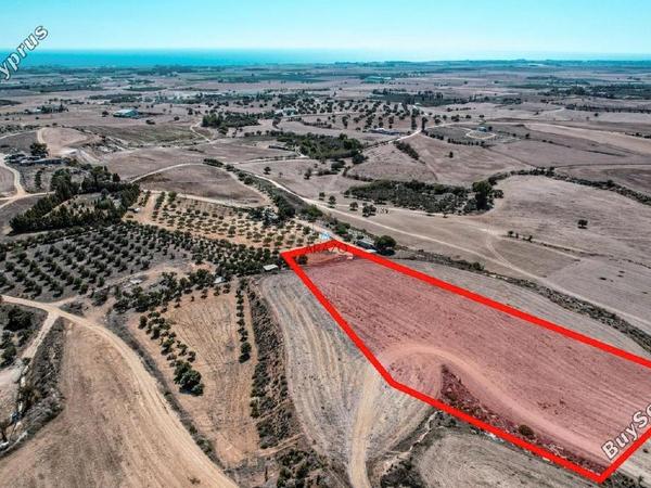 land for sale tersefanou larnaca 1554723 image 5657660