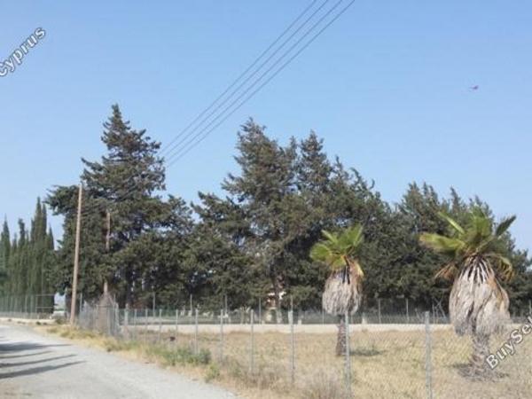 4 bedroom detached house for sale kiti larnaca 7905823 image 16561144