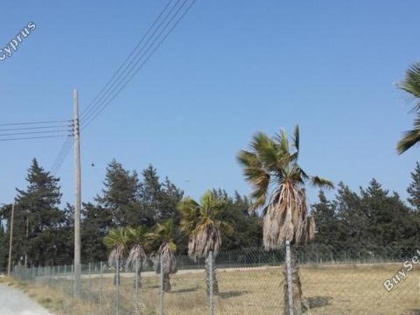 4 bedroom detached house for sale kiti larnaca 7905823 image 16561145