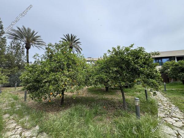 5 bedroom detached house for rent agios andreas nicosia nicosia 8597823 image 16793611