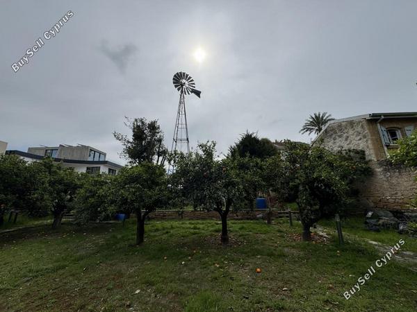 5 bedroom detached house for rent agios andreas nicosia nicosia 8597823 image 16793679