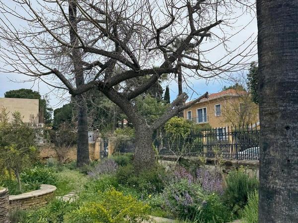 5 bedroom detached house for rent agios andreas nicosia nicosia 8597823 image 16793724