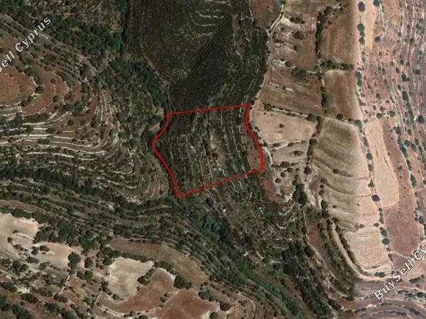 land for sale dora limassol 828823 image 6783911