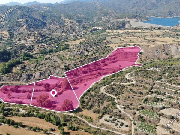 land for sale kannaviou paphos 1897823 image 14208743