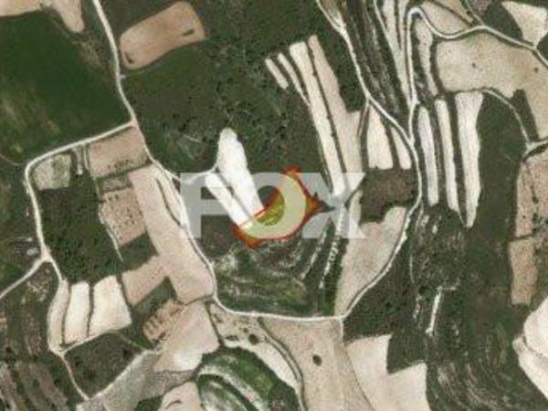 land for sale kathikas paphos 1158823 image 5504856